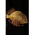  Fish (Clutch)